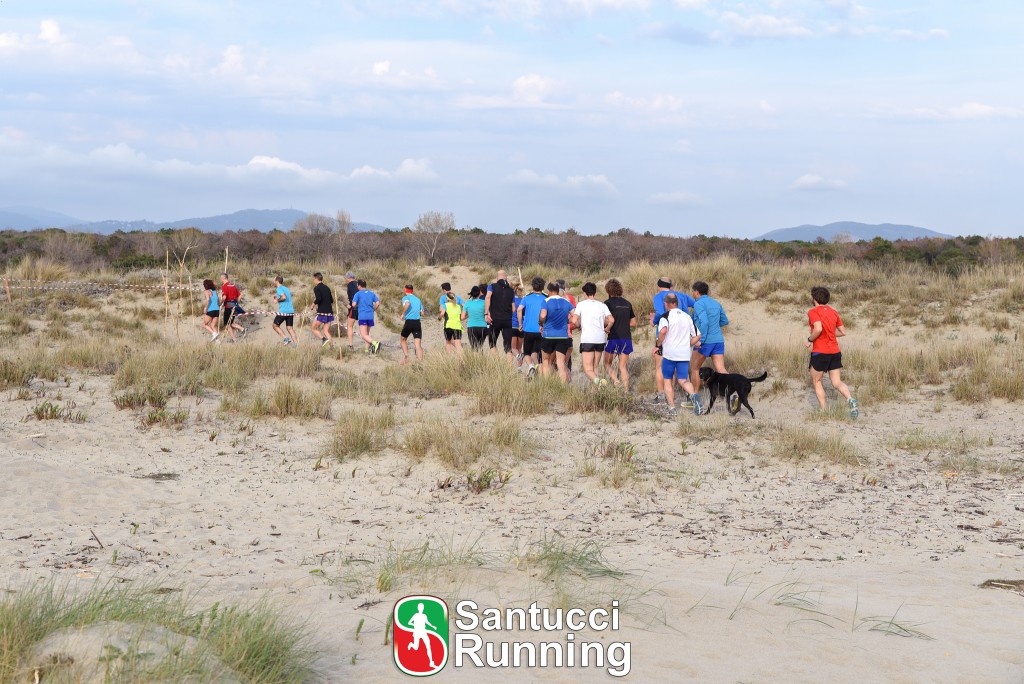 Allenamenti con il cane