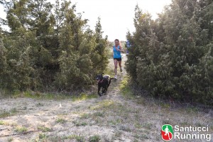 Allenamento con il cane