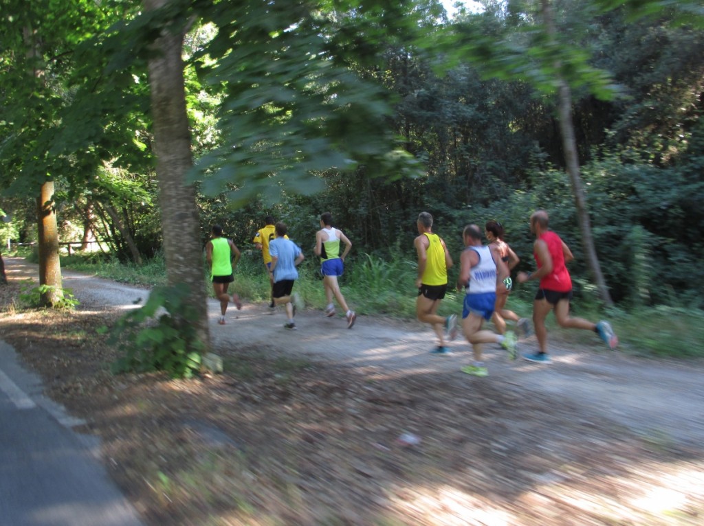 training