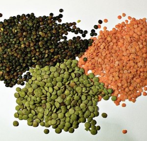 Varietà di lenticchie