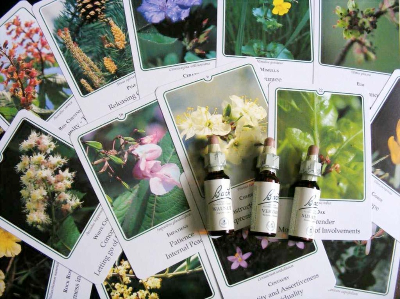 origini storia terapie con fiori e piante