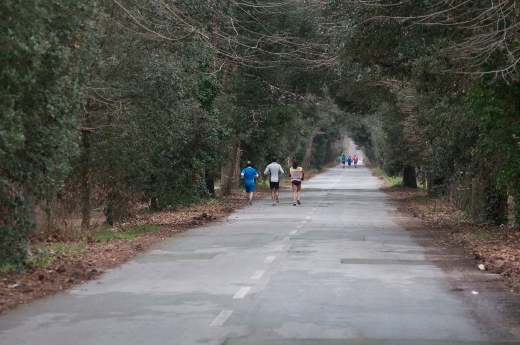 correre sul viale dei tigli
