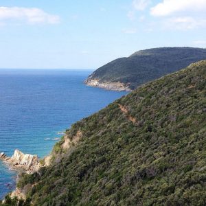 e98251d7120a6db5dc1be275c28e61e3