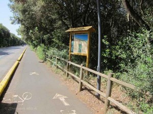 pista-ciclabile-lungo